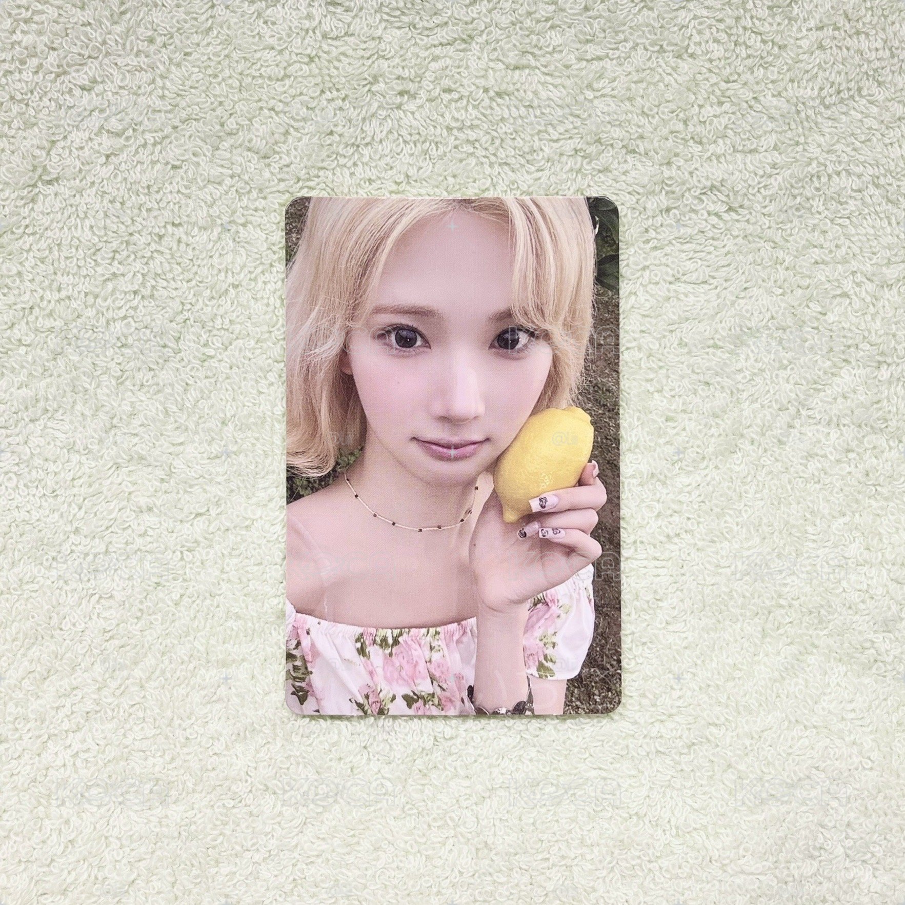 Jiwoo🍓LEMON TANG MA預售特典