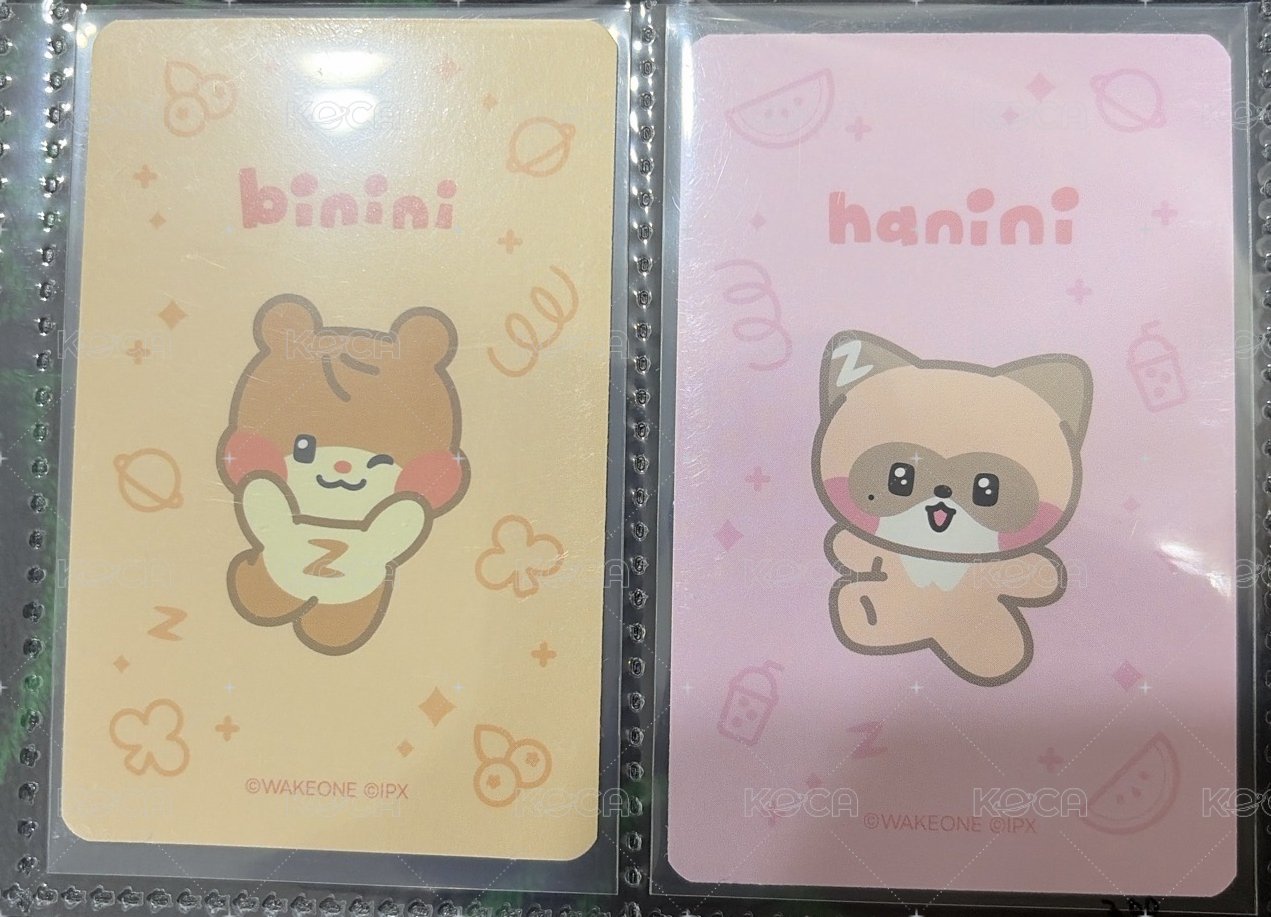 立牌卡 尼尼卡背