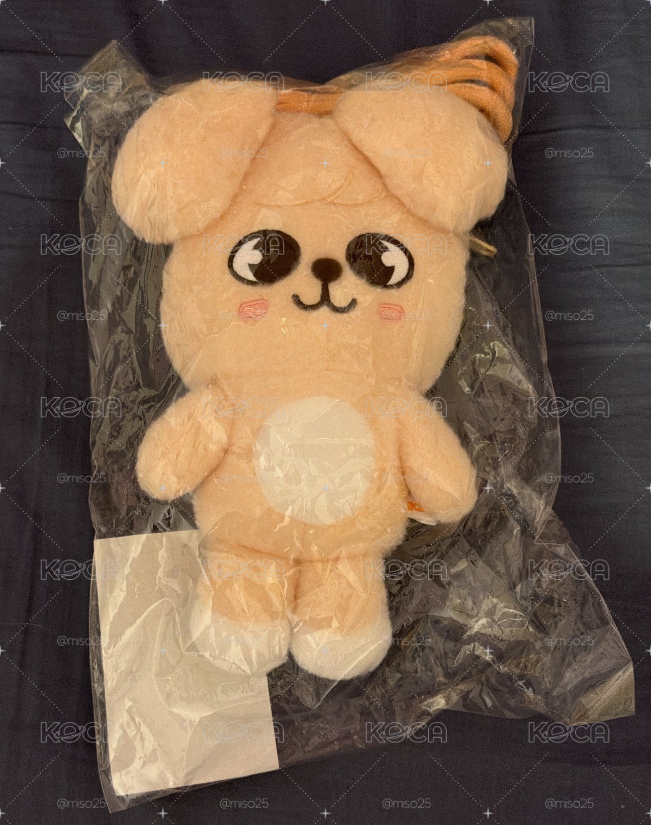 帕皮側背娃 全新現貨