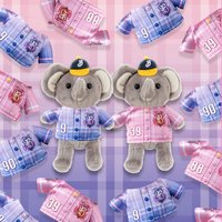 洲際高校野球部：直球對決吧！學長！ 娃衣 