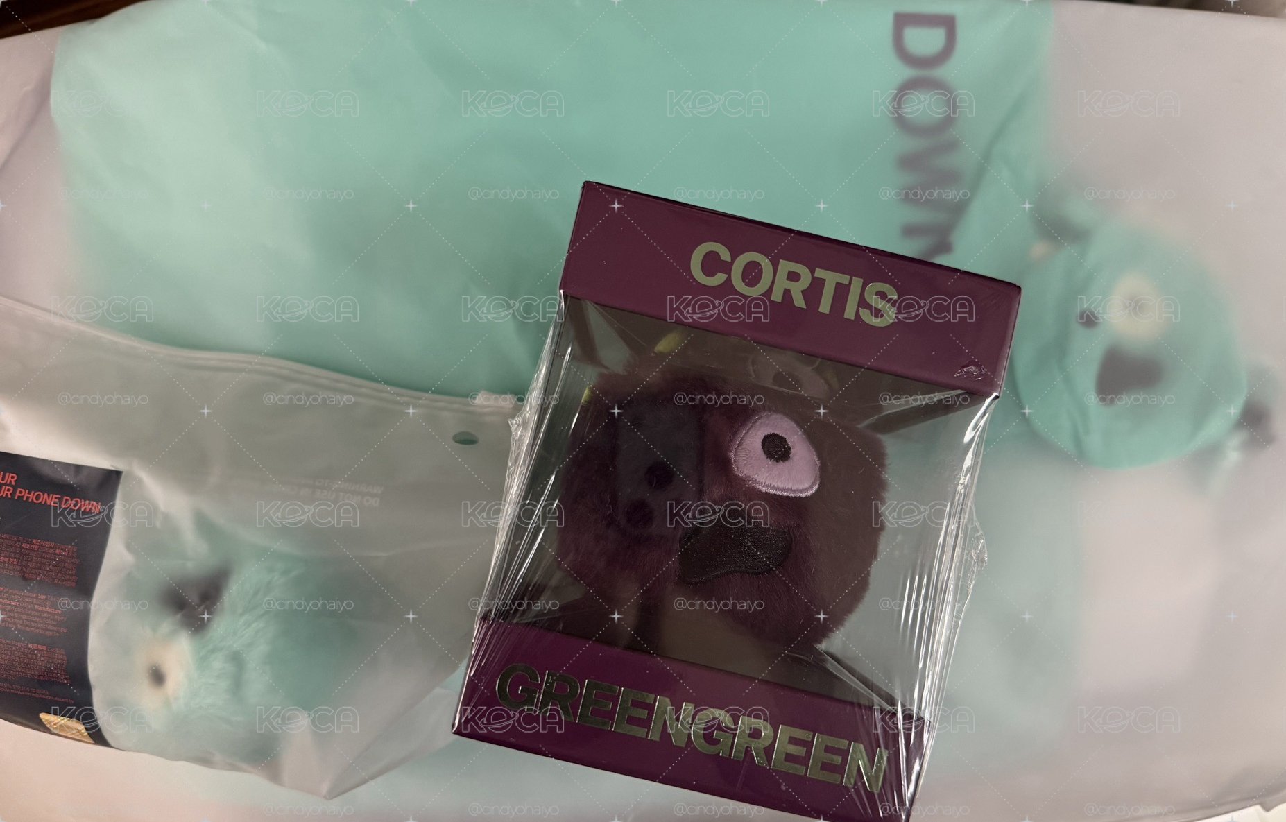 CORTIS周邊出清