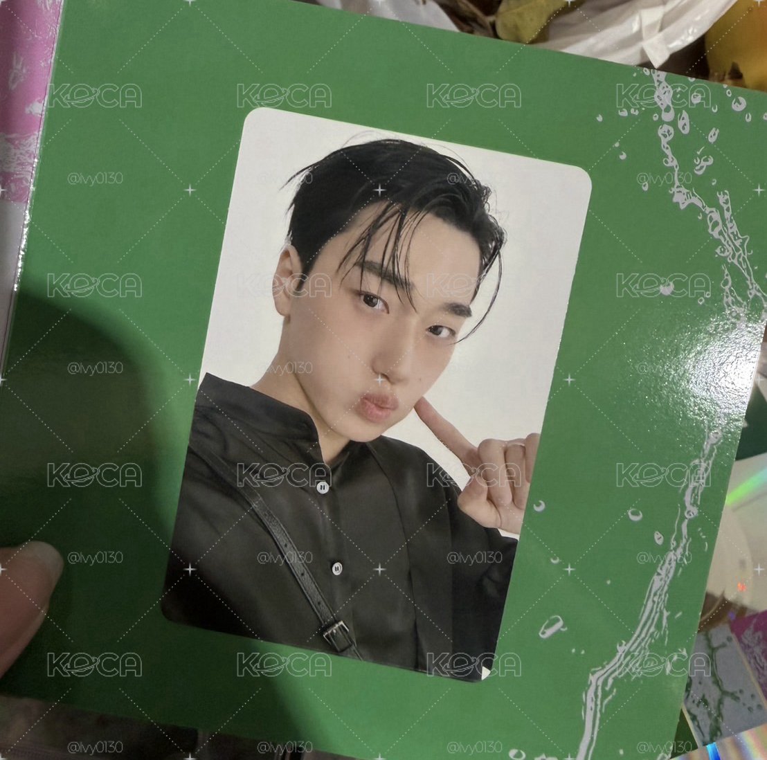 sigle cd 傘