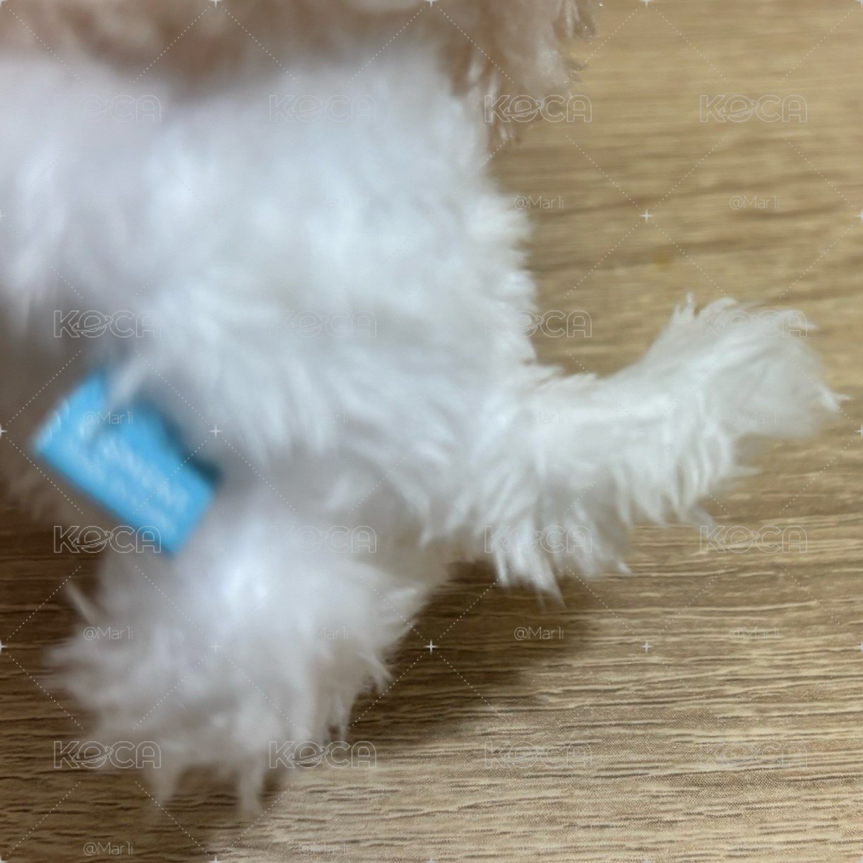 一販原皮奶茶貓