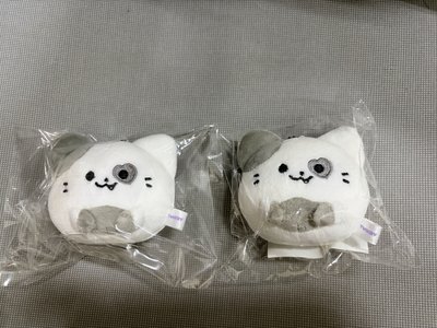 志球娃