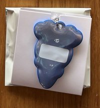 子瑜
