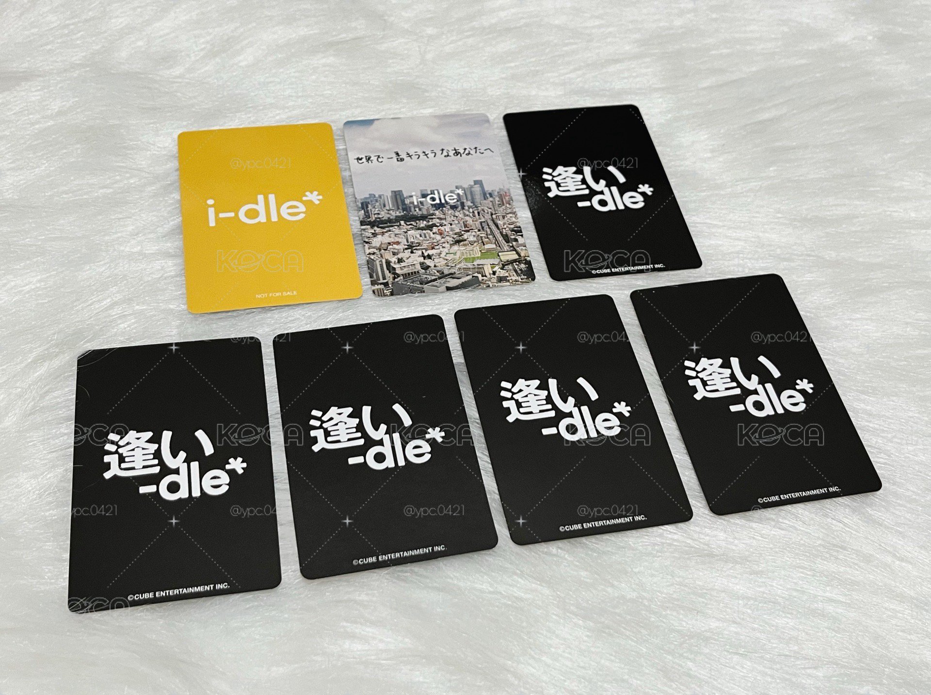 日巡｜刷專區