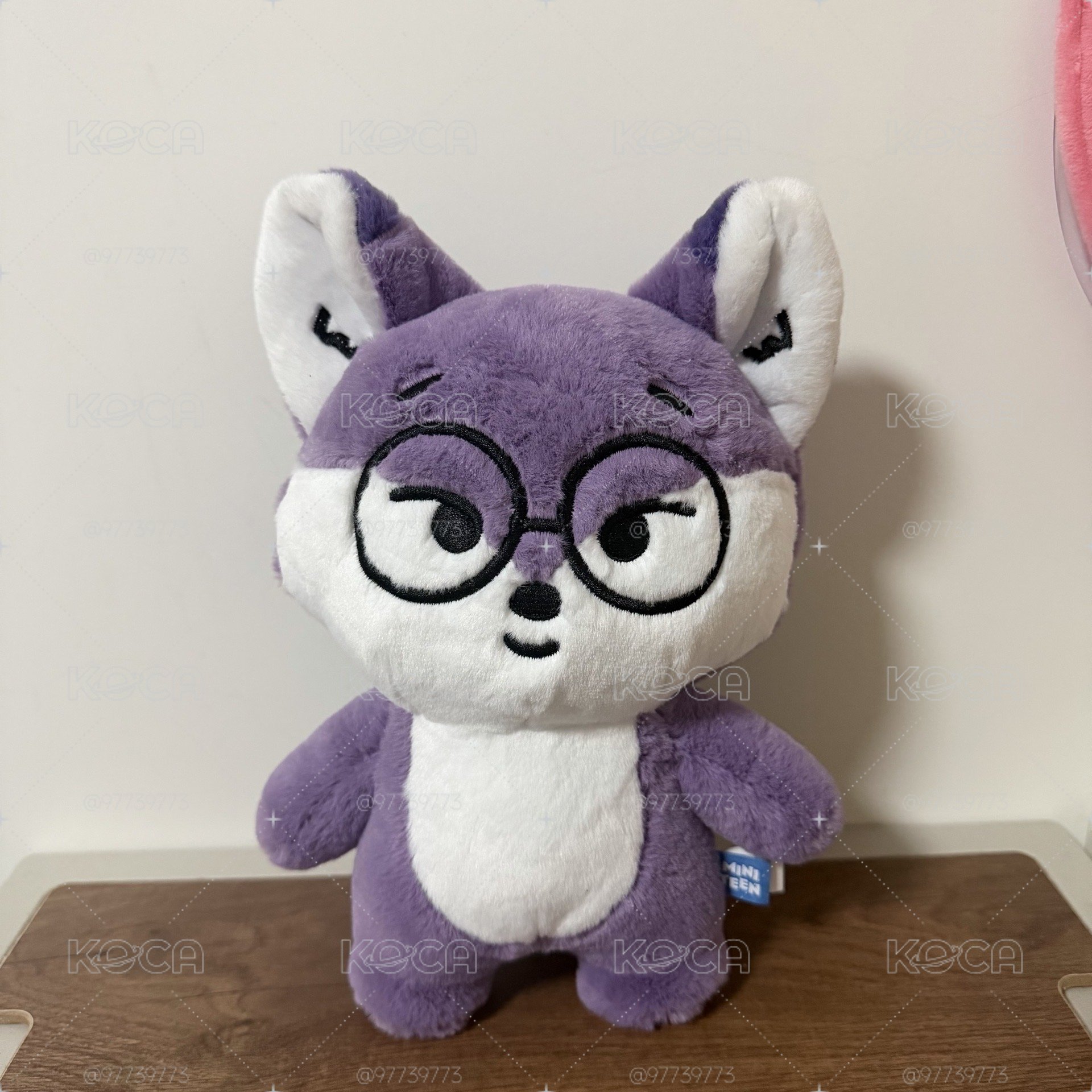 SVT💎 圓佑FOXDUNGEE 站娃
