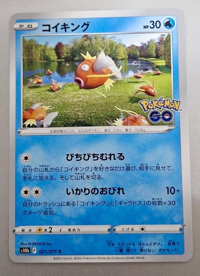 寶可夢｜鯉魚王 C 日版 Pokémon GO