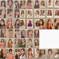 8套共48張全帶