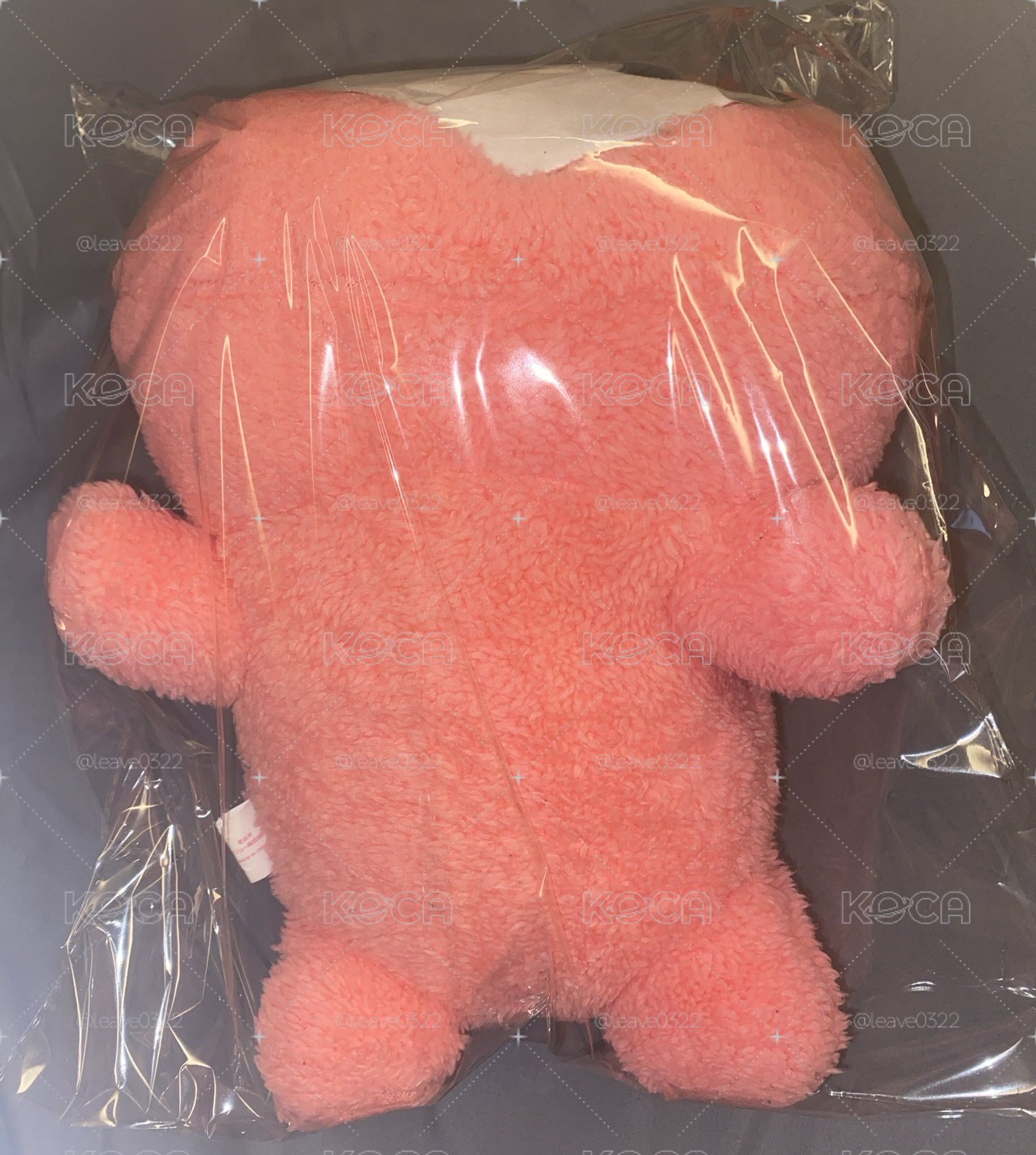MOMO 趴娃