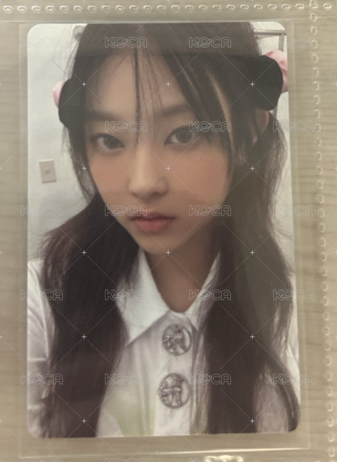 公主貓