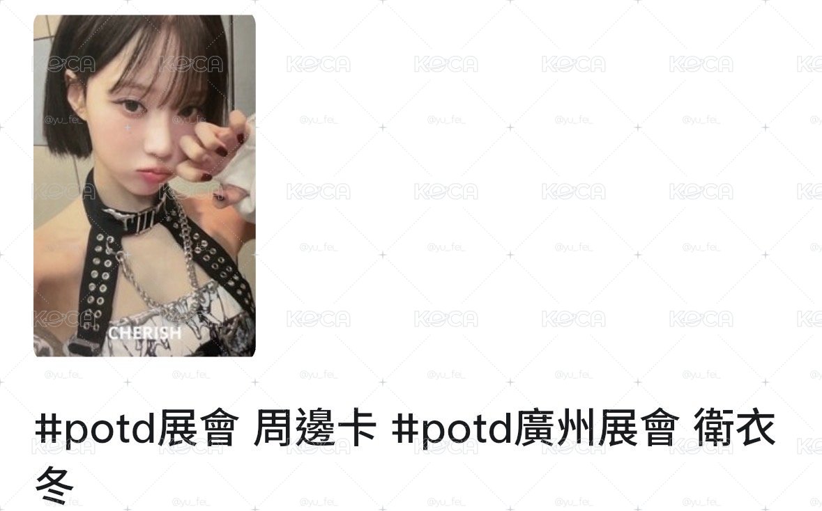 貓抓冬