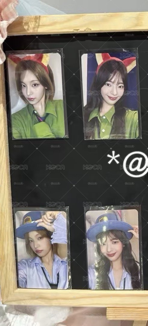 兔子志粒