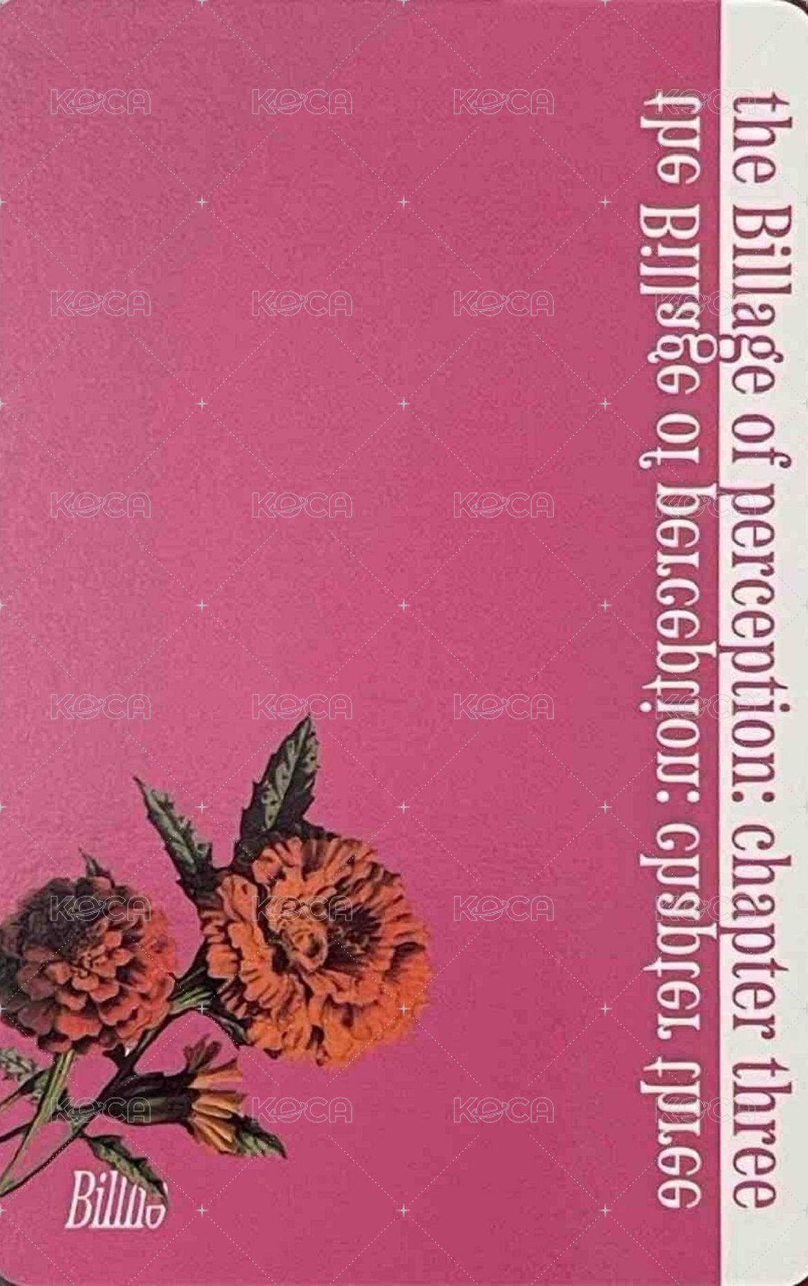 迷你四 wm 快閃店 周邊卡 卡冊卡 背面