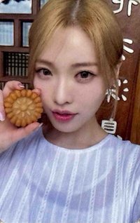 2024 年曆 wm 特典卡 月餅