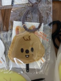城小扇