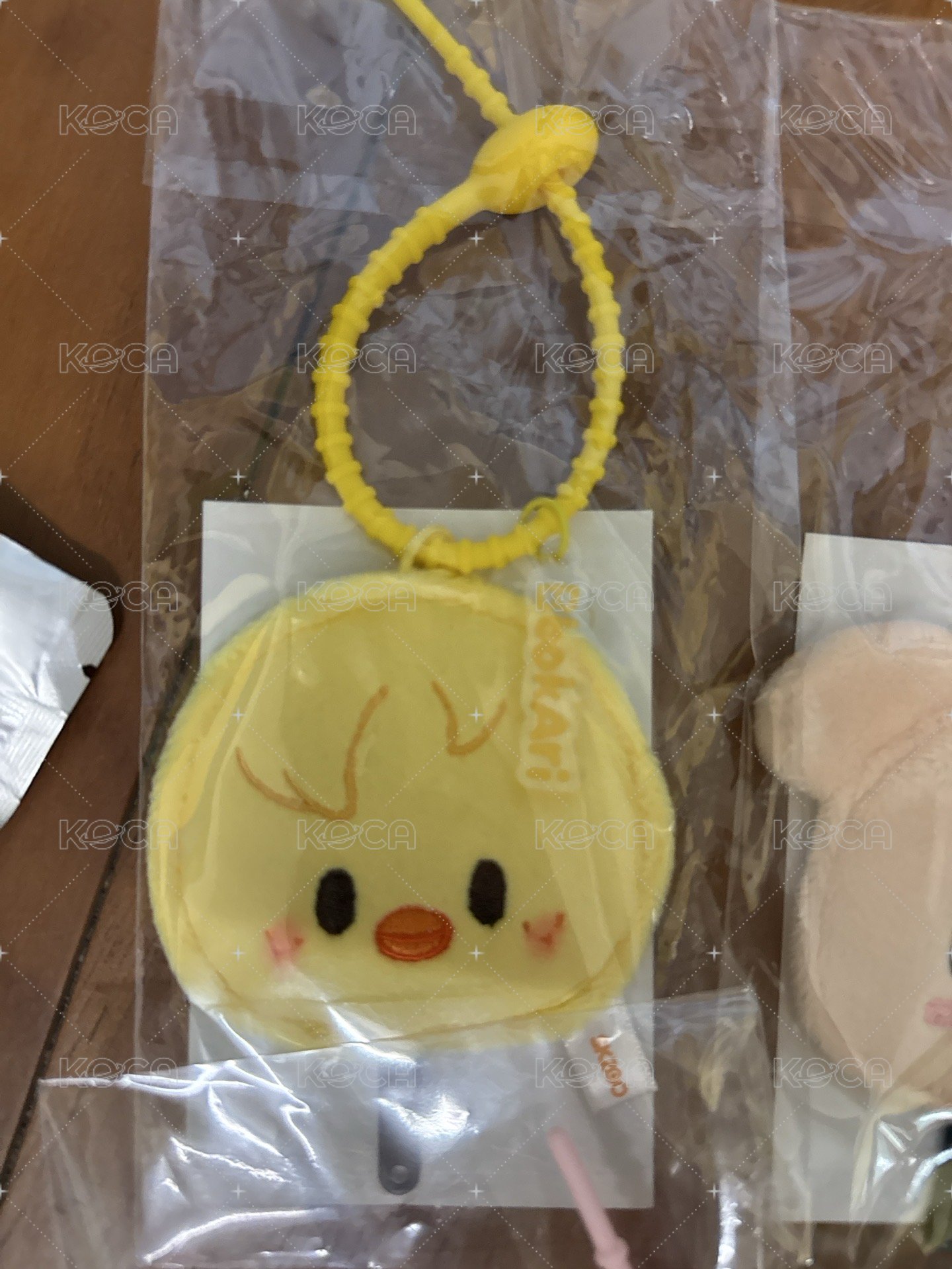 啵小扇
