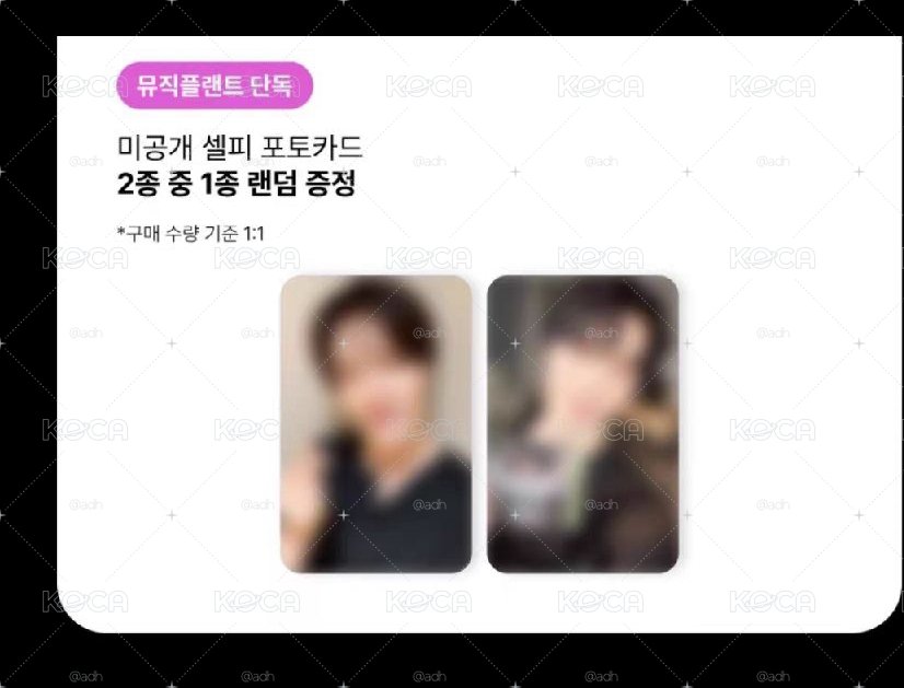 Svt Dino mp簽售卡