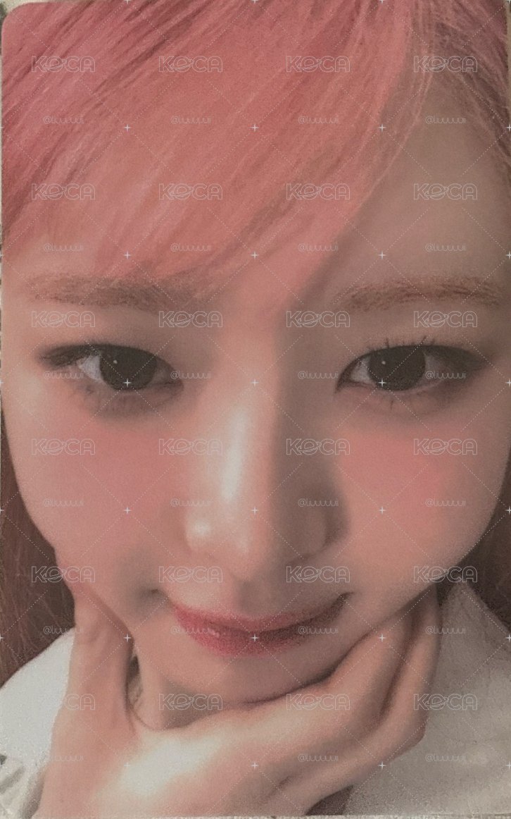 懟臉怜