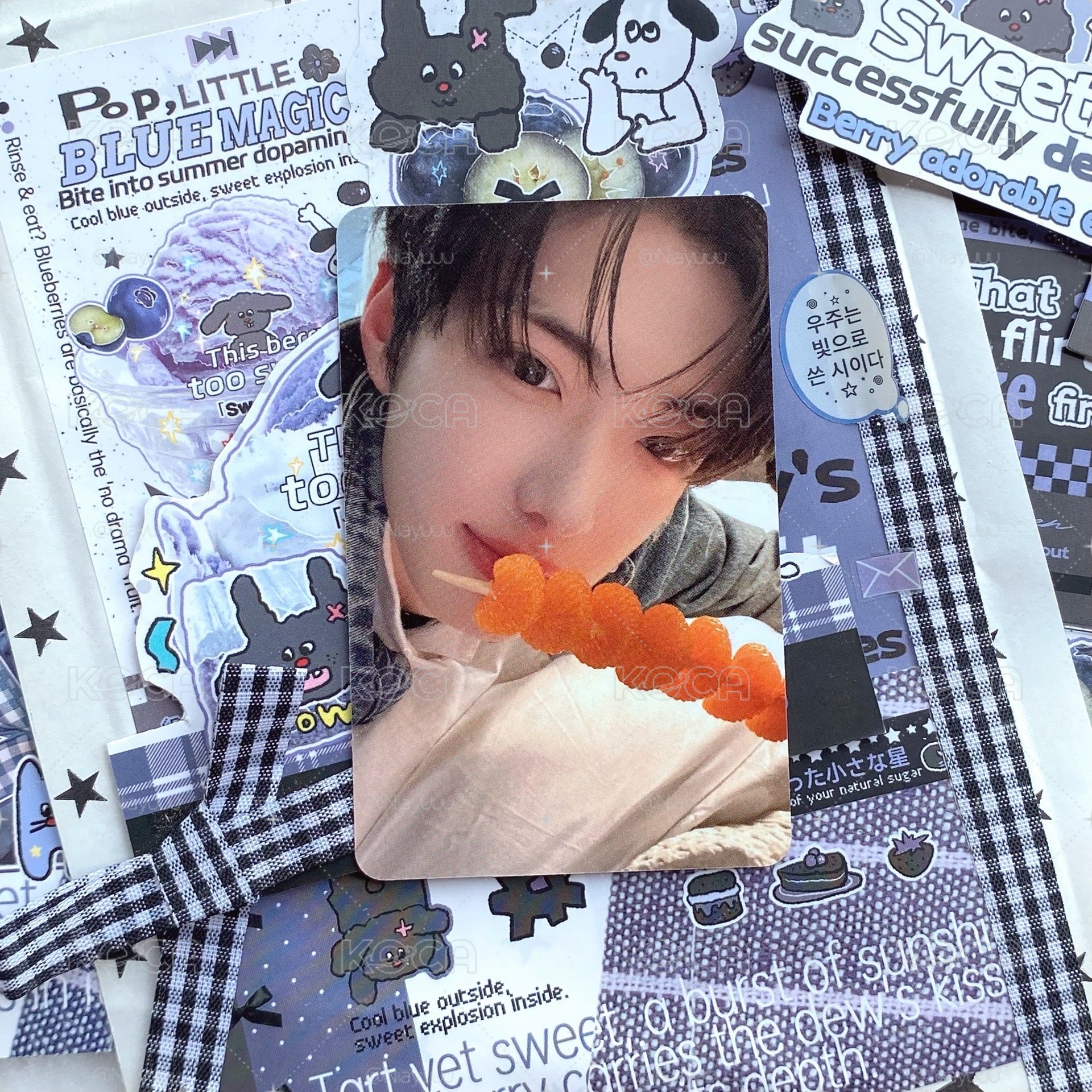 人生真是喵喵又汪汪(>^ω^<) 