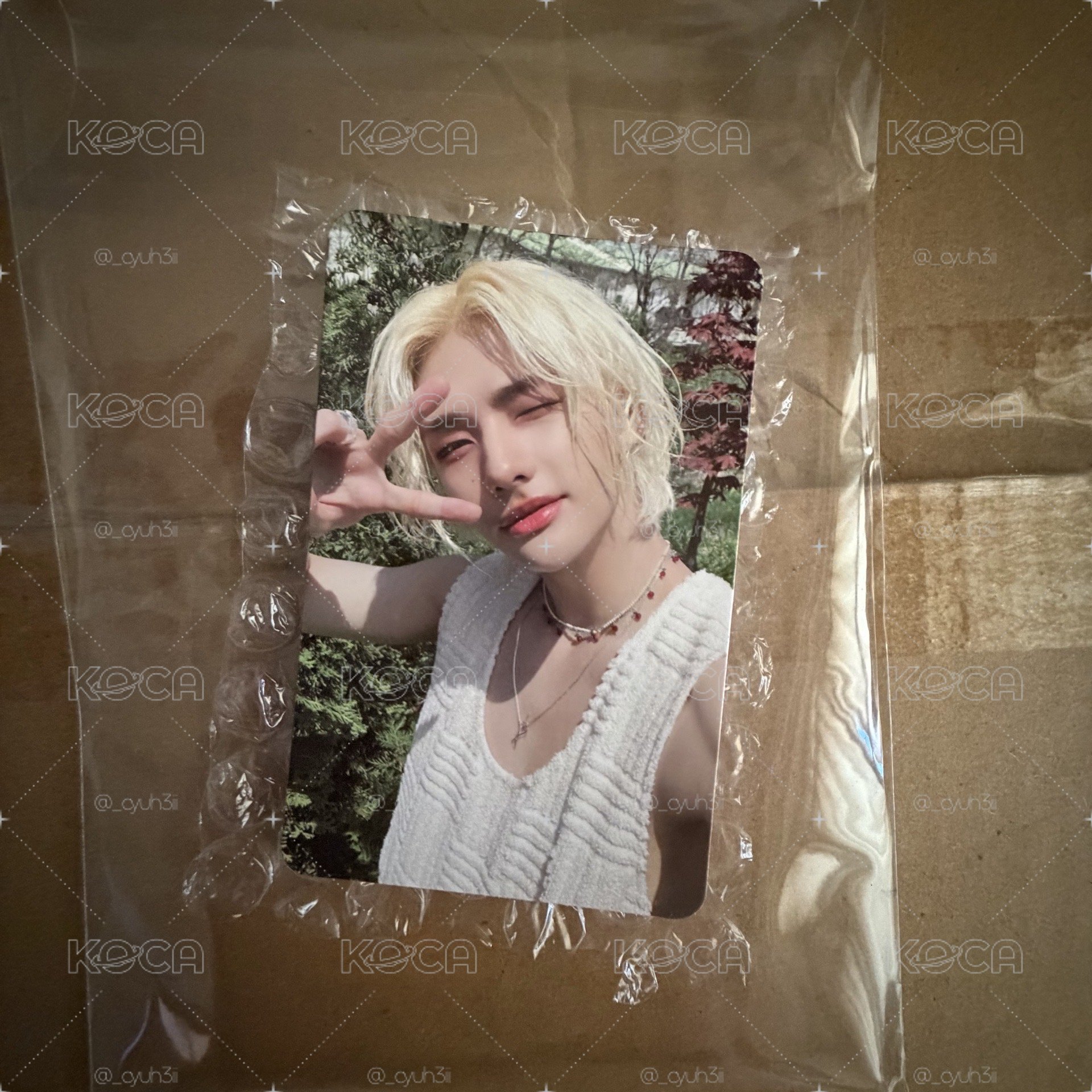 🥟/MAXIDENT 專輯卡 T-Crush ver.