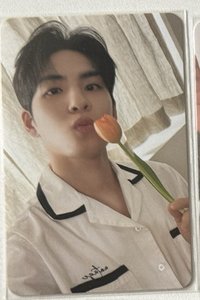 拿花🐰