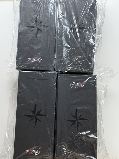 全新現貨 一天內出 Stray Kids 二代手燈 