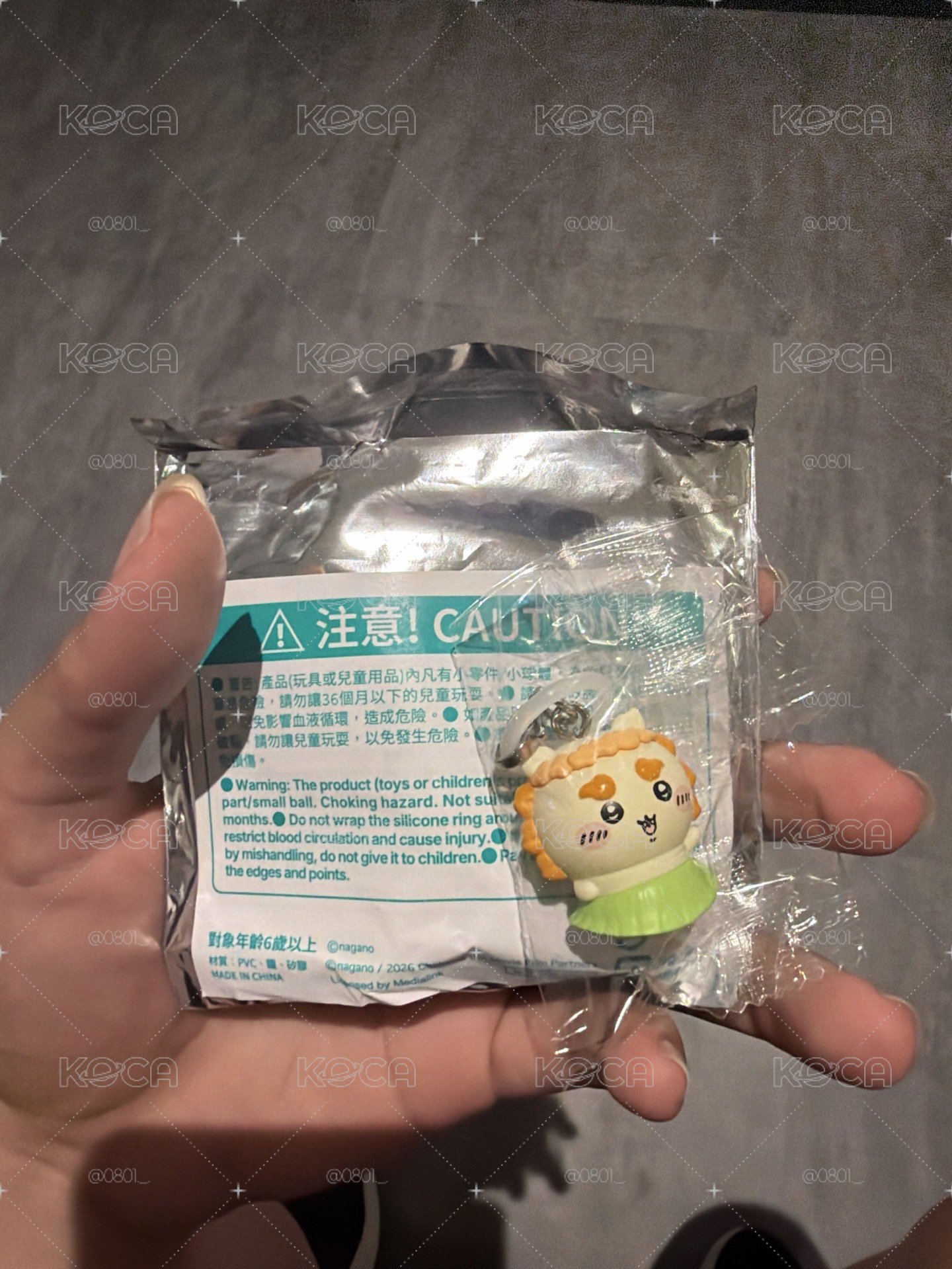 獅薩出走～(^з^)-☆