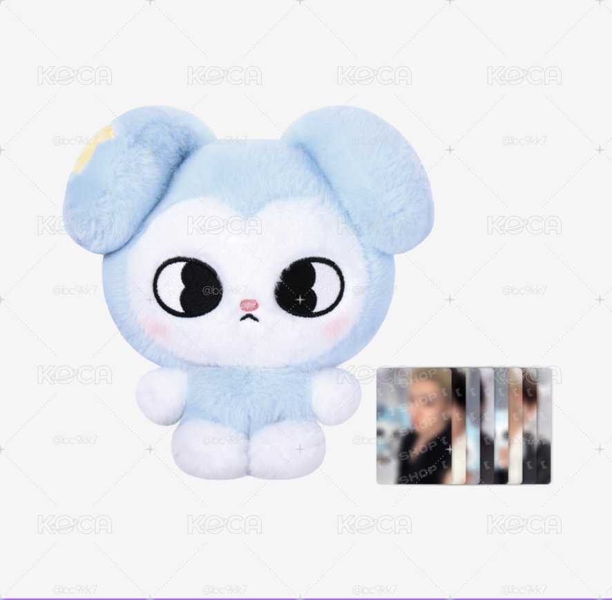 SKZ 世巡場週 TASY原皮大娃 現貨