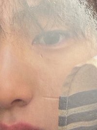 wvs預售訓（有損）如圖