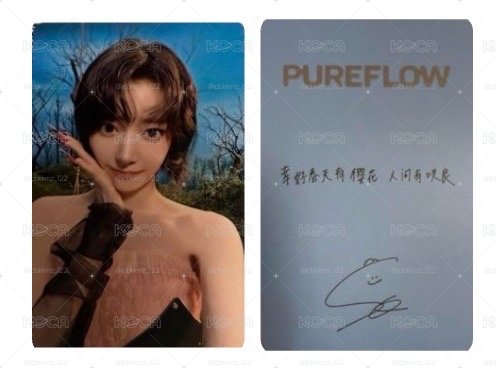 櫻花🌸