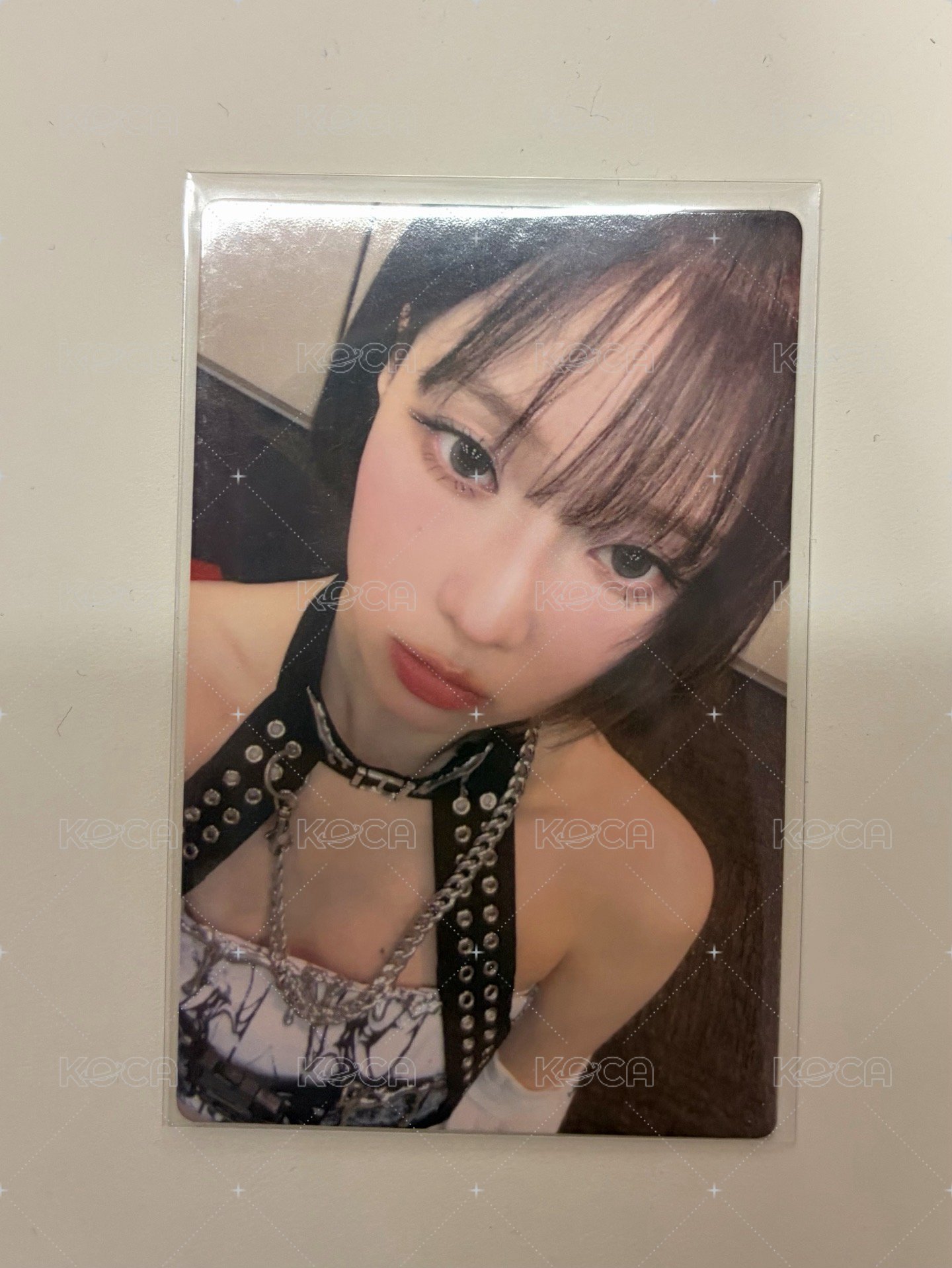 展會滿額冬