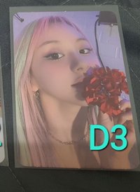 D3