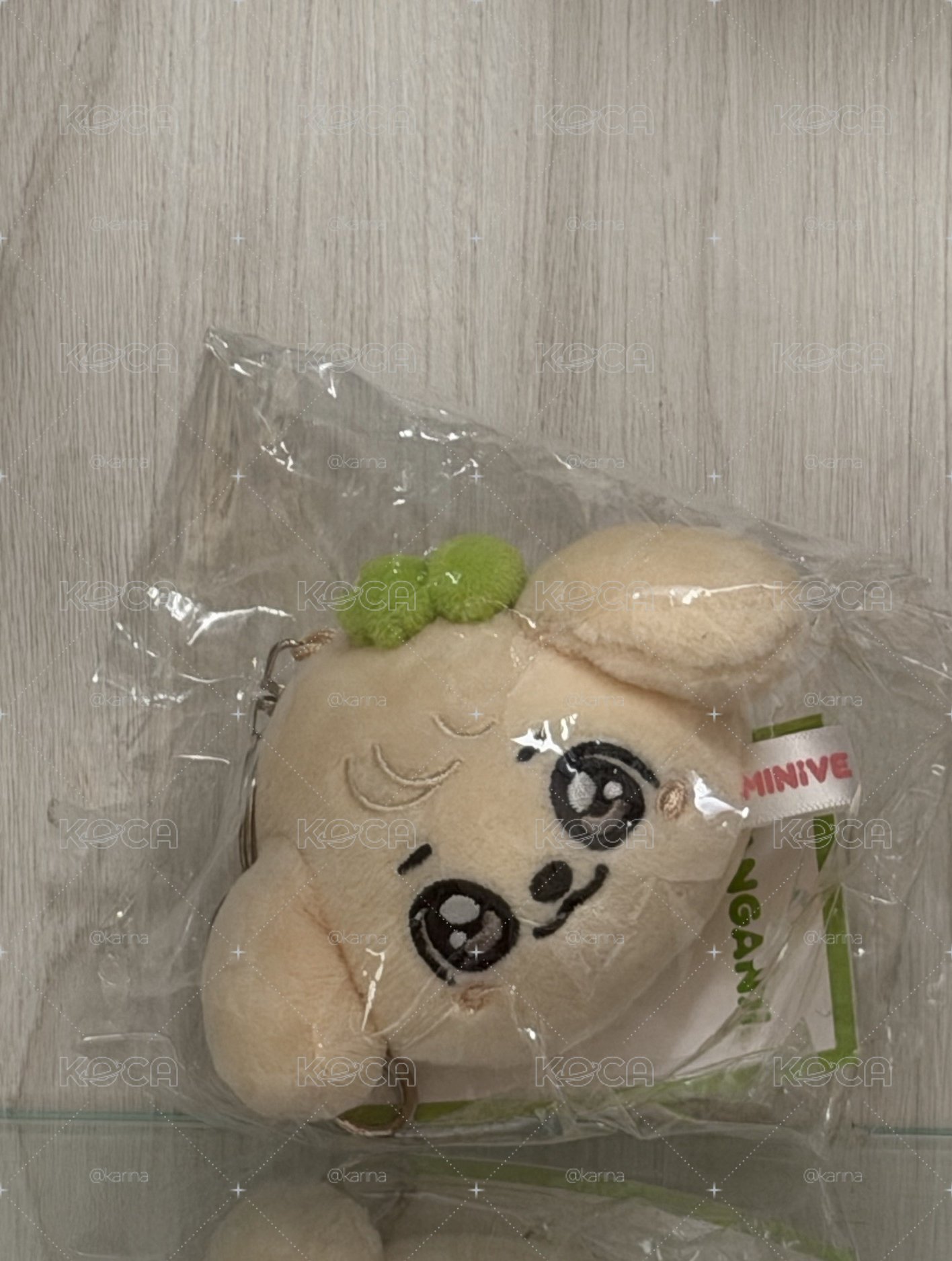 安大頭娃