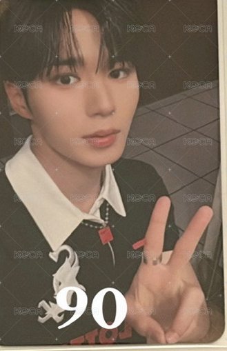 自由pose 抒