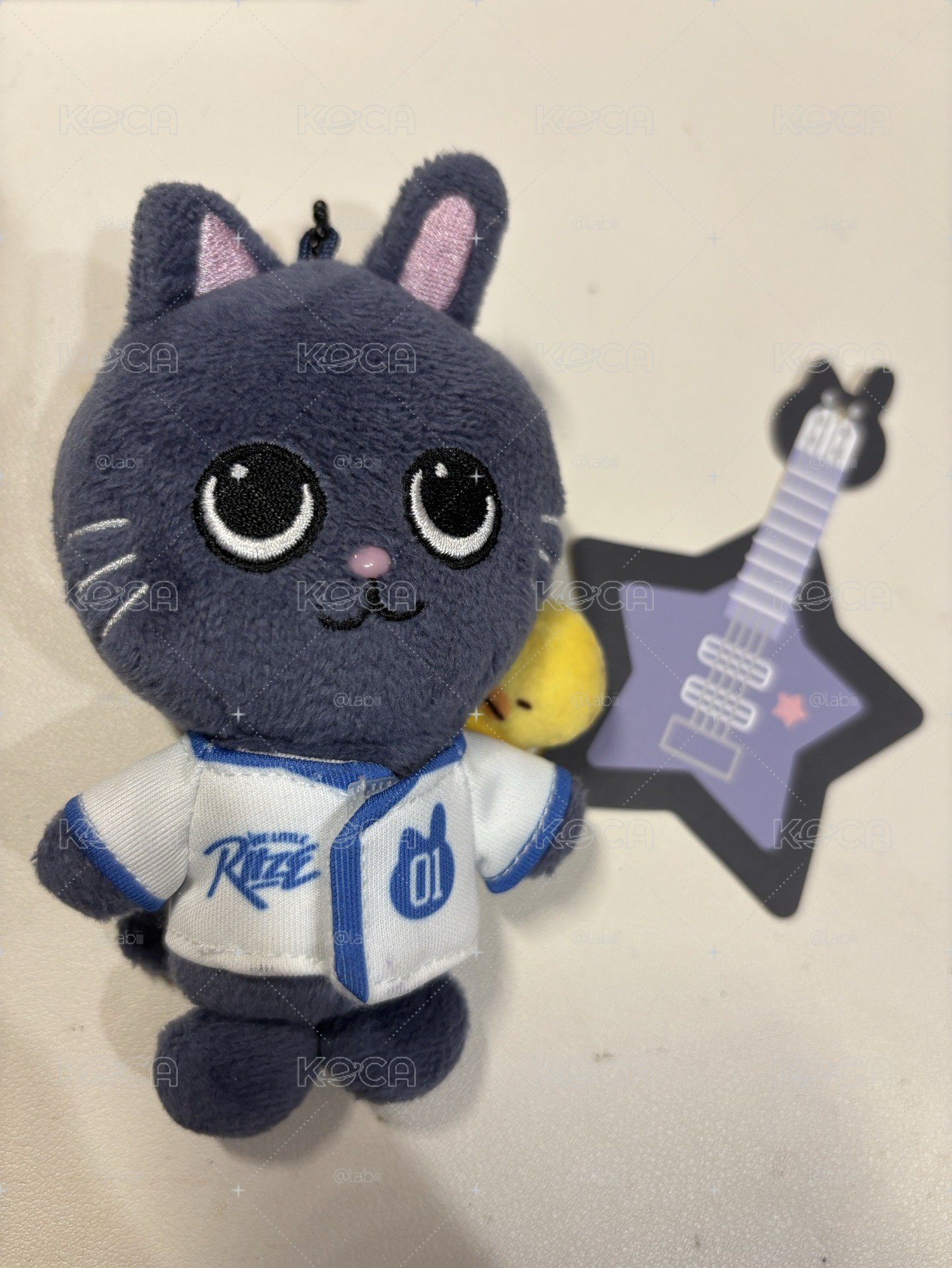 RIIZE 磁吸兔喵鴨無背包
