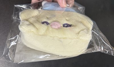 裴收納包(廠損)