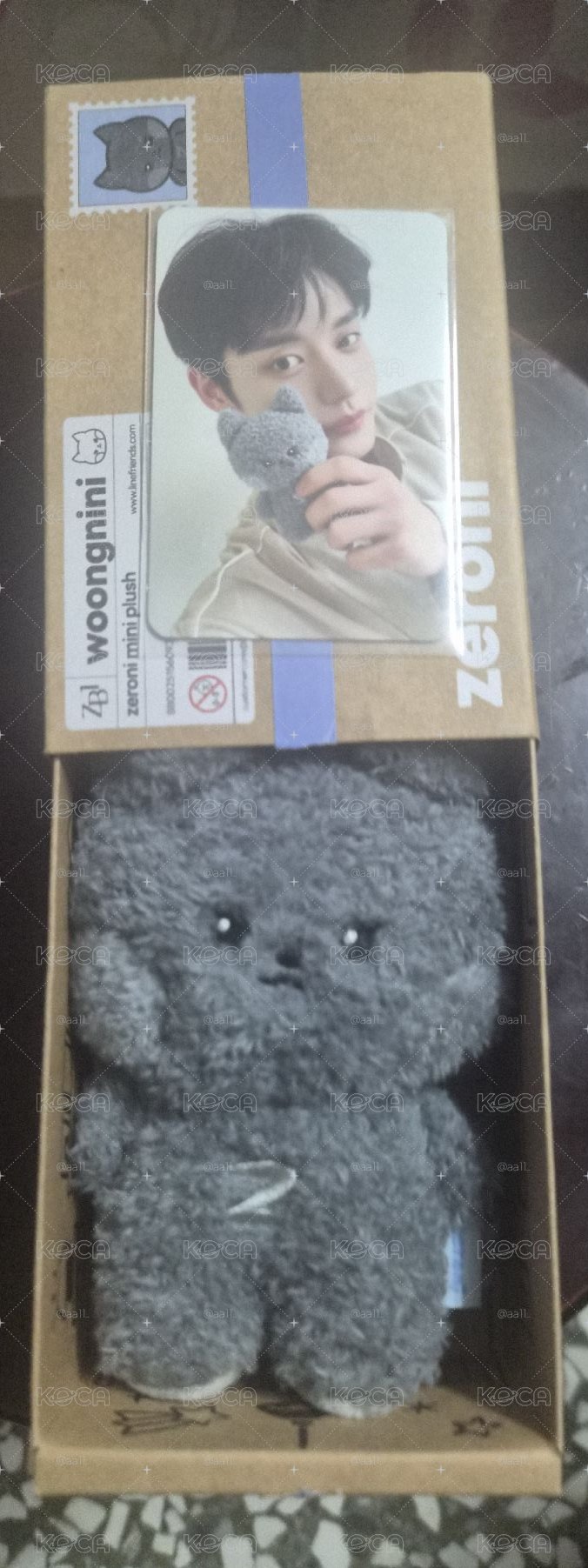 ZB1地雄 zeroni 盒娃卡