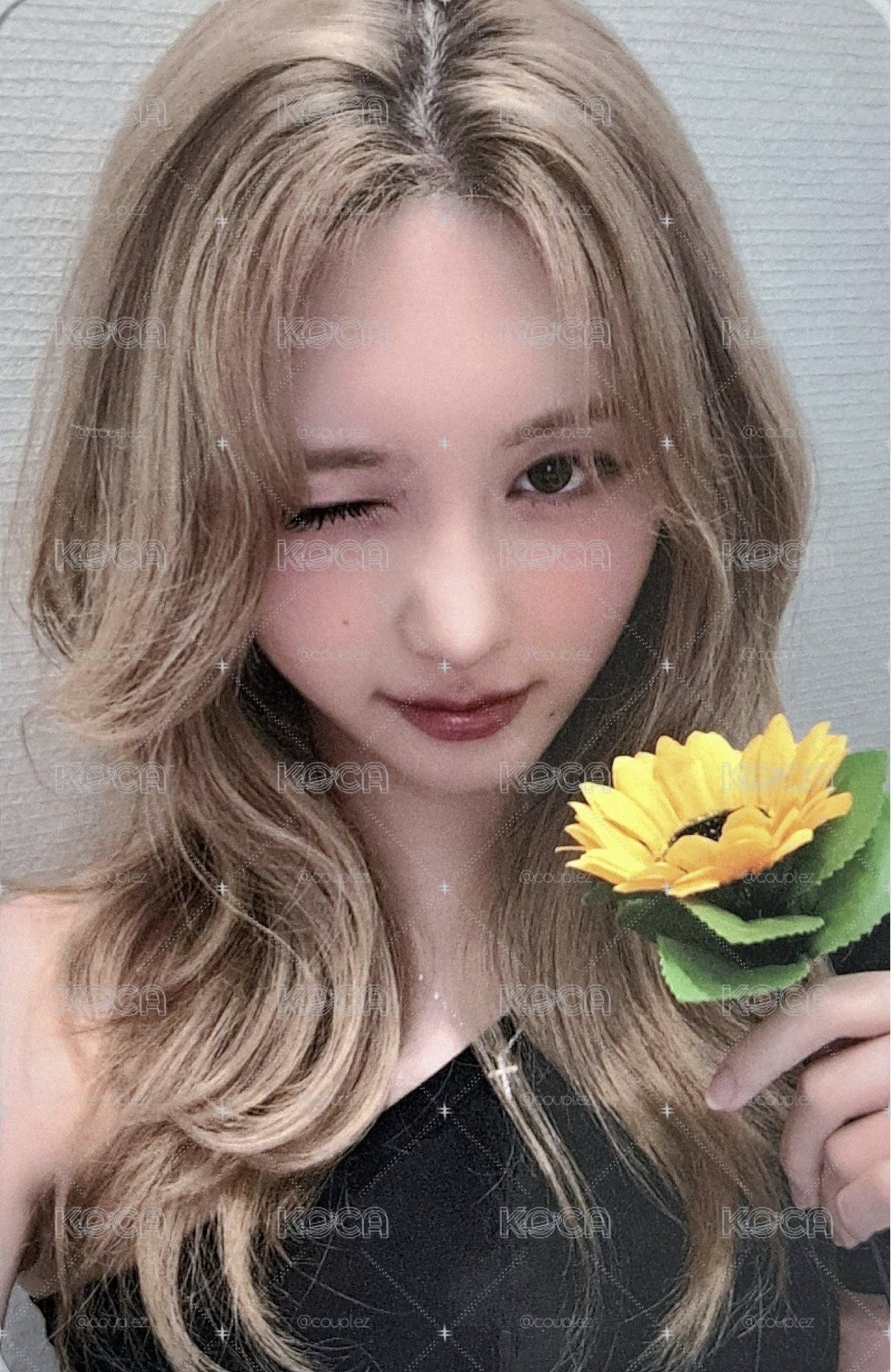 二星秋