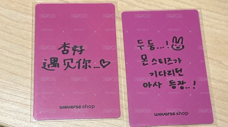 馬卡龍中背跟韓背一起出