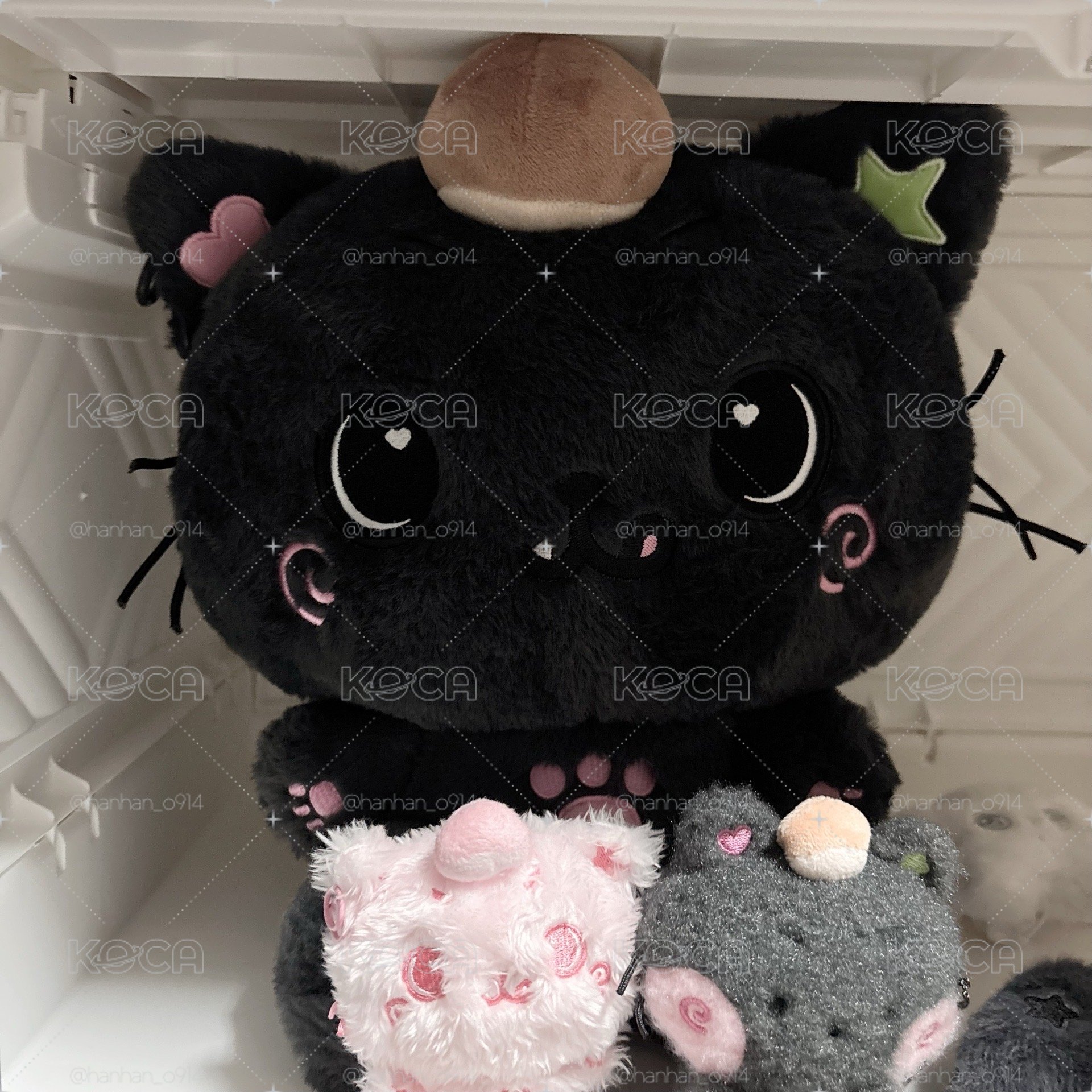 kuri 坐姿娃 