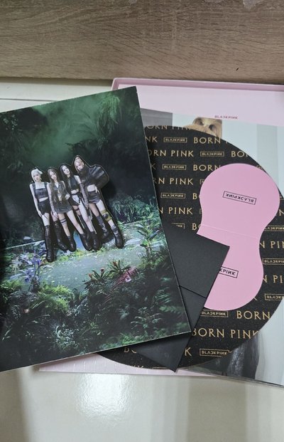 BORN PINK 專輯 粉膠版 空專 