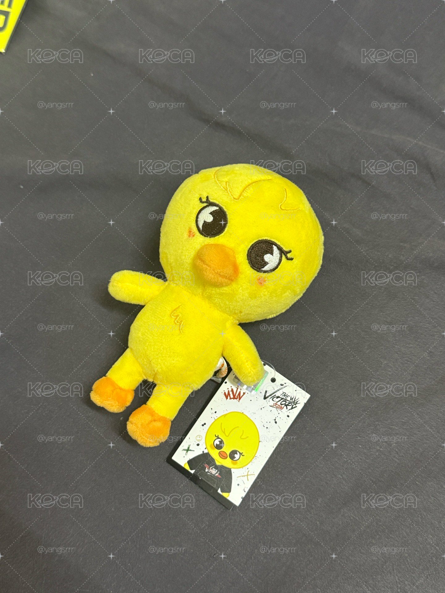 #現貨 THE VICTORY 快閃店 15cm 菲娃