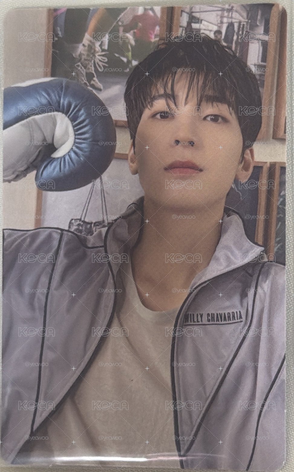 SEVENTEEN MINI10 專輯卡 wvs電子專 全圓佑
