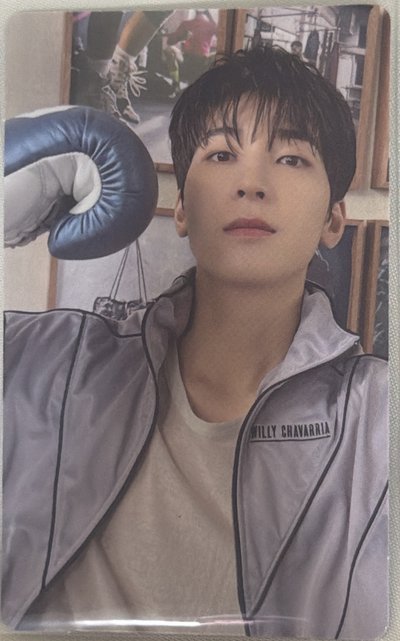 SEVENTEEN MINI10 專輯卡 wvs電子專 全圓佑