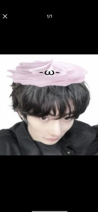 新澤西小狗男