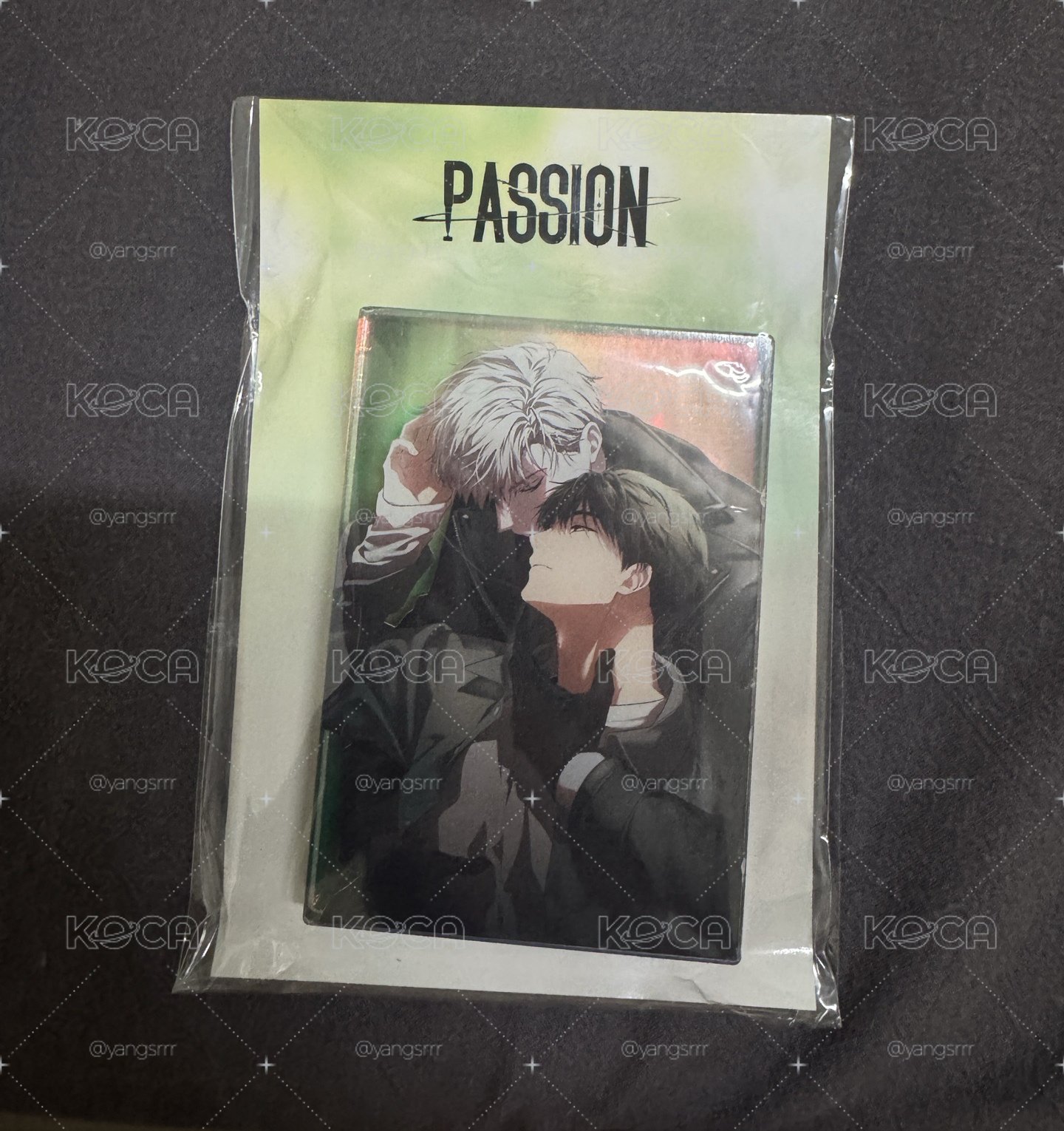 #現貨 全新未拆 Passion 地平線快閃 壓克力磚