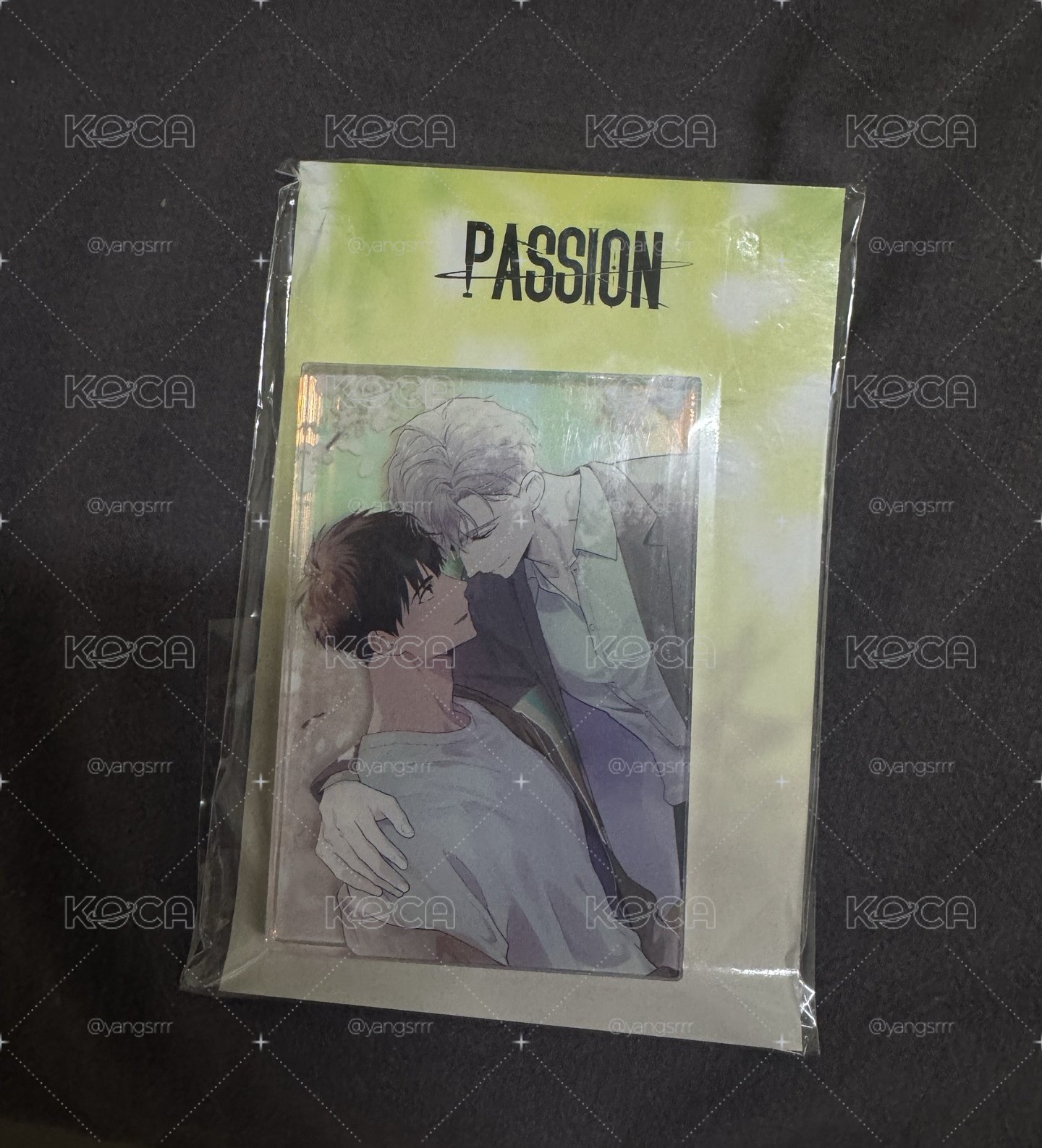 #現貨 全新未拆 Passion 地平線快閃 壓克力磚