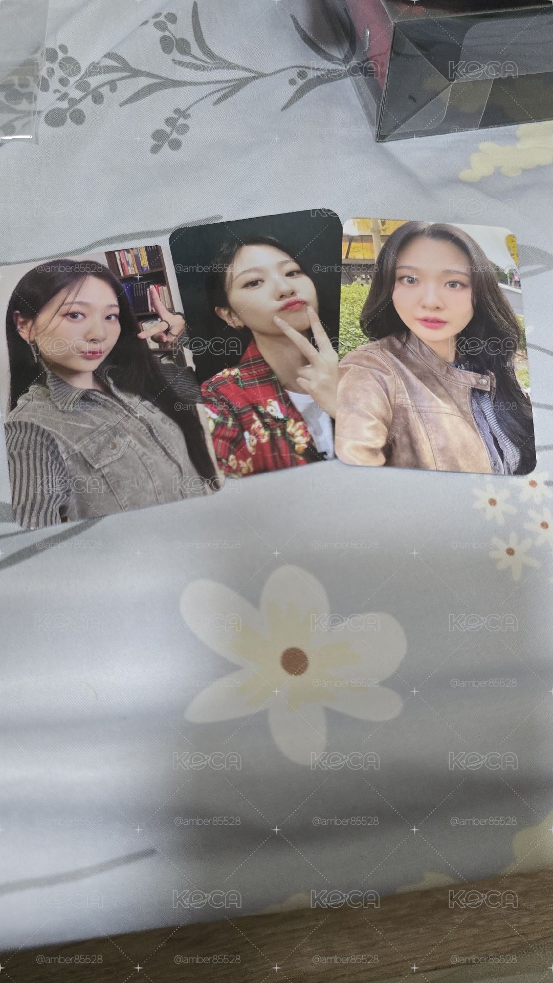 2025 Bol4 Bloom 演唱會 台北 入場卡
