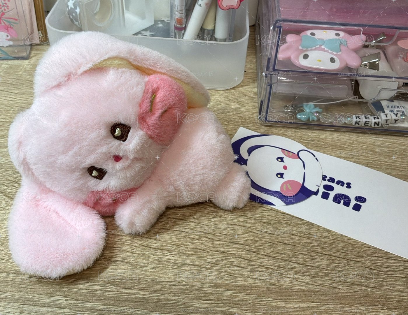 BUNINI HANNI 趴娃 